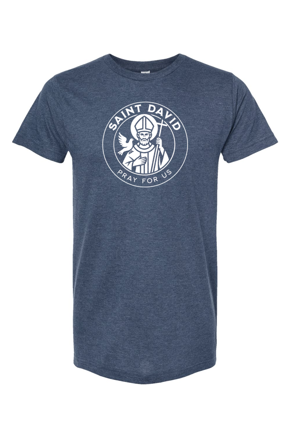 St. David - Pray for Us
