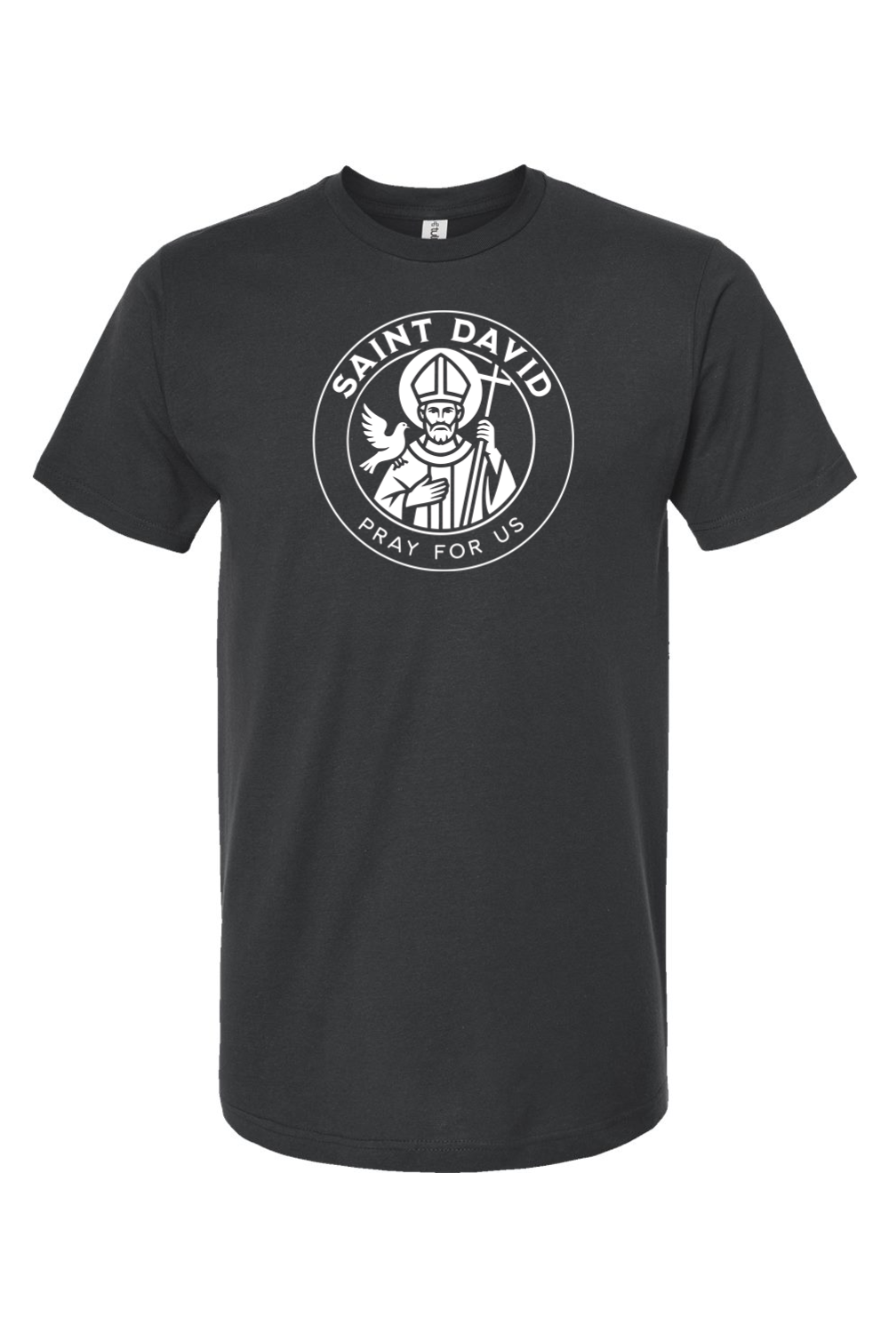 St. David - Pray for Us