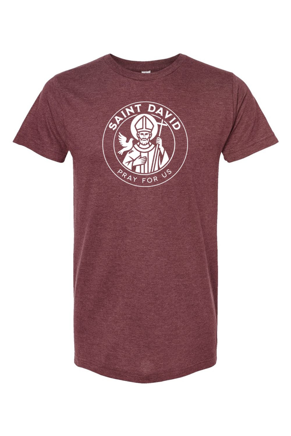 St. David - Pray for Us