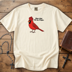 One day I'll be Pope - Comfort Colors Tee