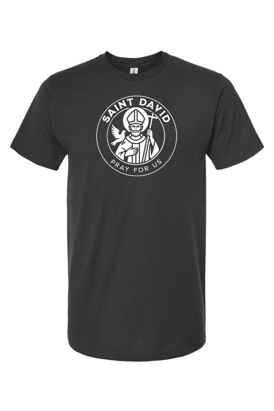 St. David - Pray for Us