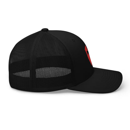 Templar Cross - Embroidered Snapback Hat