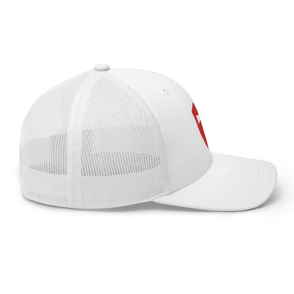 Templar Cross - Embroidered Snapback Hat